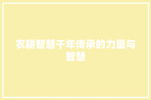 农耕智慧千年传承的力量与智慧