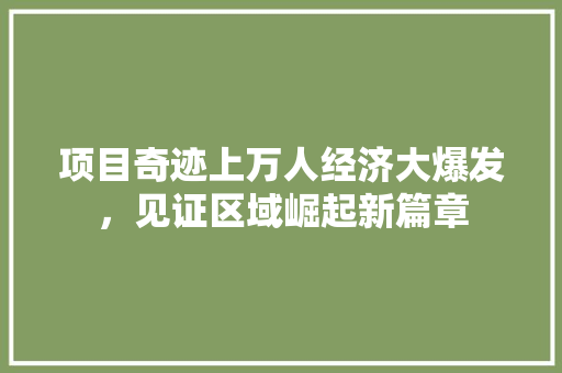 项目奇迹上万人经济大爆发,见证区域崛起新篇章 项目奇迹上万人经济大爆发,见证区域崛起新篇章