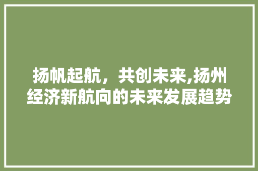 扬帆起航,共创未来,扬州经济新航向的未来发展趋势 扬帆起航,共创未来,扬州经济新航向的未来发展趋势