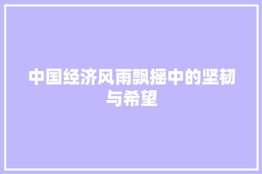 中国经济风雨飘摇中的坚韧与希望