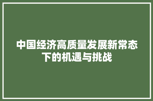 中国经济高质量发展新常态下的机遇与挑战 中国经济高质量发展新常态下的机遇与挑战