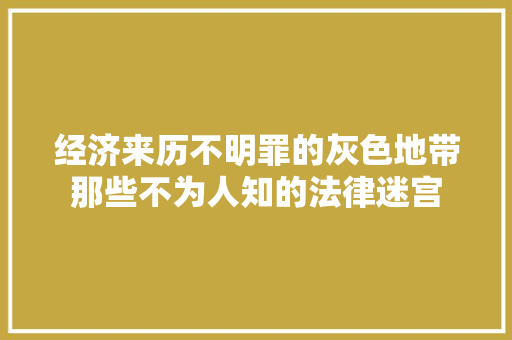 经济来历不明罪的灰色地带那些不为人知的法律迷宫 经济来历不明罪的灰色地带那些不为人知的法律迷宫