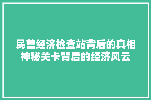 民营经济检查站背后的真相神秘关卡背后的经济风云 民营经济检查站背后的真相神秘关卡背后的经济风云