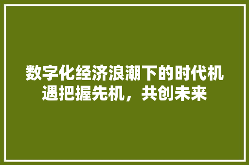 数字化经济浪潮下的时代机遇把握先机,共创未来 数字化经济浪潮下的时代机遇把握先机,共创未来