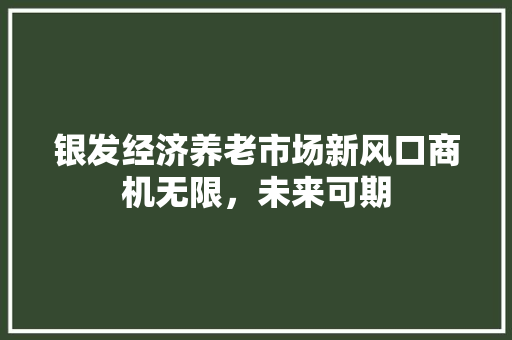 银发经济养老市场新风口商机无限,未来可期 银发经济养老市场新风口商机无限,未来可期