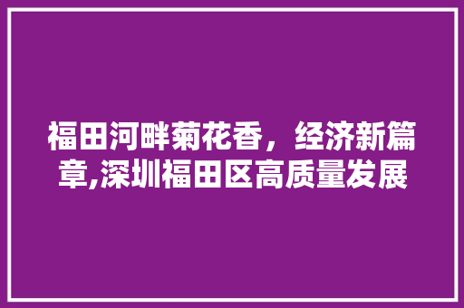 福田河畔菊花香,经济新篇章,深圳福田区高质量发展之路 福田河畔菊花香,经济新篇章,深圳福田区高质量发展之路
