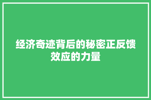 经济奇迹背后的秘密正反馈效应的力量 经济奇迹背后的秘密正反馈效应的力量