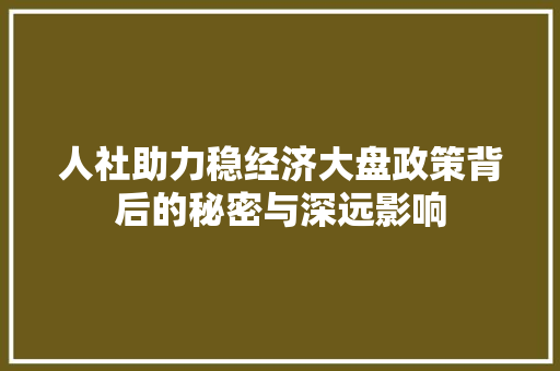 人社助力稳经济大盘政策背后的秘密与深远影响 人社助力稳经济大盘政策背后的秘密与深远影响