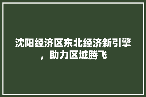 沈阳经济区东北经济新引擎,助力区域腾飞 沈阳经济区东北经济新引擎,助力区域腾飞