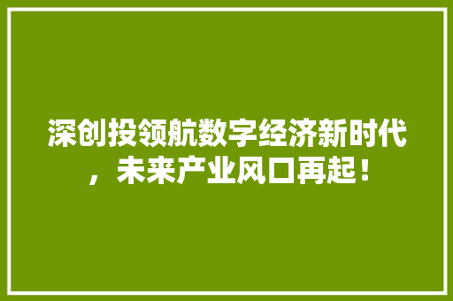 深创投领航数字经济新时代,未来产业风口再起! 深创投领航数字经济新时代,未来产业风口再起!