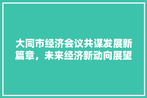 大同市经济会议共谋发展新篇章,未来经济新动向展望 大同市经济会议共谋发展新篇章,未来经济新动向展望