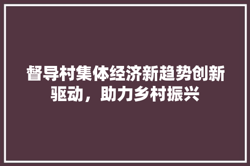 督导村集体经济新趋势创新驱动,助力乡村振兴 督导村集体经济新趋势创新驱动,助力乡村振兴