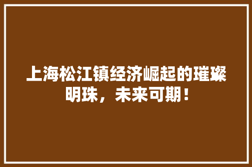 上海松江镇经济崛起的璀璨明珠,未来可期! 上海松江镇经济崛起的璀璨明珠,未来可期!