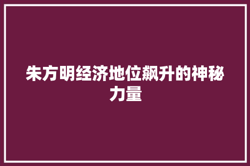 朱方明经济地位飙升的神秘力量 朱方明经济地位飙升的神秘力量