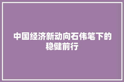 中国经济新动向石伟笔下的稳健前行 中国经济新动向石伟笔下的稳健前行