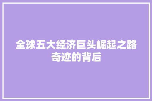全球五大经济巨头崛起之路奇迹的背后