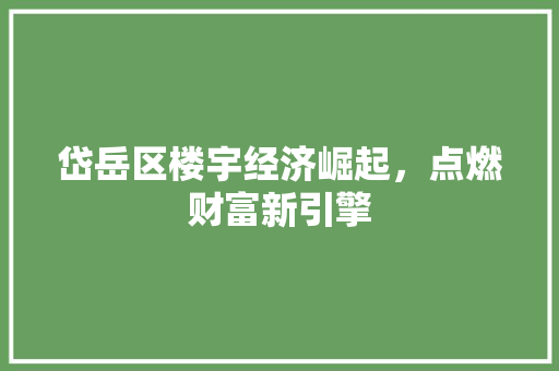 岱岳区楼宇经济崛起，点燃财富新引擎