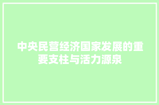中央民营经济国家发展的重要支柱与活力源泉 中央民营经济国家发展的重要支柱与活力源泉