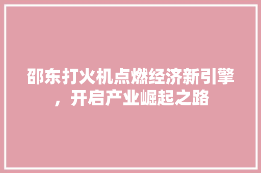 邵东打火机点燃经济新引擎,开启产业崛起之路 邵东打火机点燃经济新引擎,开启产业崛起之路