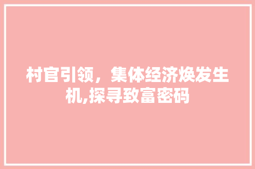 村官引领,集体经济焕发生机,探寻致富密码 村官引领,集体经济焕发生机,探寻致富密码