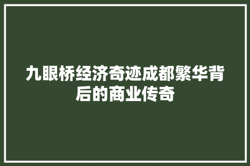 九眼桥经济奇迹成都繁华背后的商业传奇 九眼桥经济奇迹成都繁华背后的商业传奇