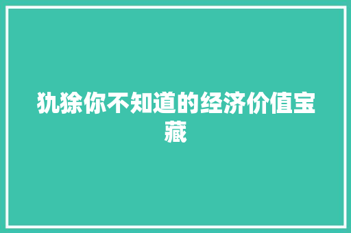 犰狳你不知道的经济价值宝藏 犰狳你不知道的经济价值宝藏