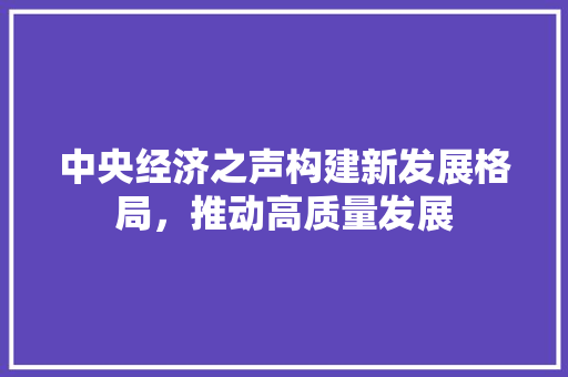 中央经济之声构建新发展格局,推动高质量发展 中央经济之声构建新发展格局,推动高质量发展