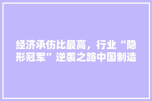 经济承伤比最高,行业“隐形冠军”逆袭之路中国制造的秘密武器 经济承伤比最高,行业“隐形冠军”逆袭之路中国制造的秘密武器