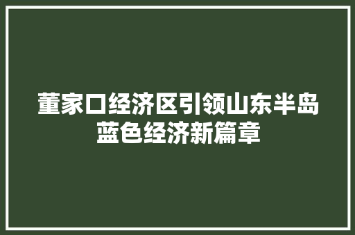 董家口经济区引领山东半岛蓝色经济新篇章 董家口经济区引领山东半岛蓝色经济新篇章