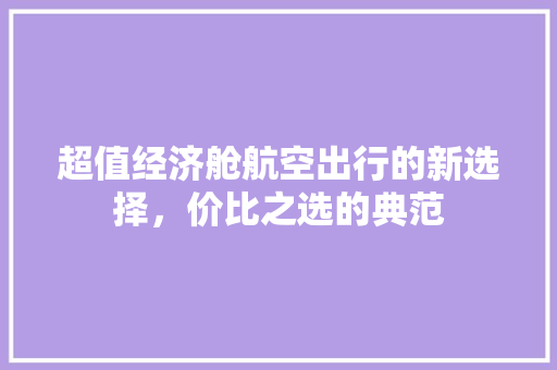 超值经济舱航空出行的新选择,价比之选的典范 超值经济舱航空出行的新选择,价比之选的典范