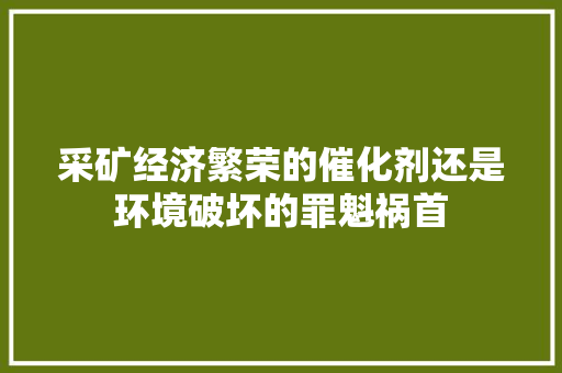 采矿经济繁荣的催化剂还是环境破坏的罪魁祸首 采矿经济繁荣的催化剂还是环境破坏的罪魁祸首