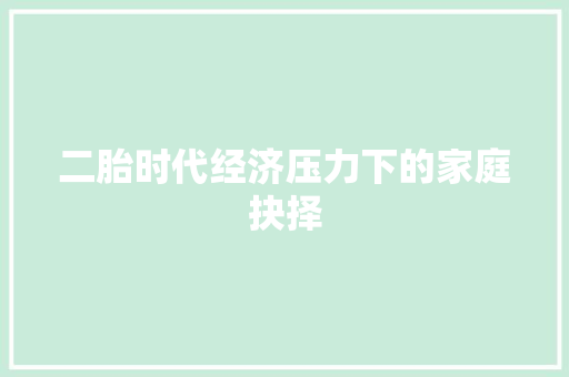 二胎时代经济压力下的家庭抉择 二胎时代经济压力下的家庭抉择