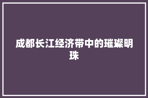 成都长江经济带中的璀璨明珠 成都长江经济带中的璀璨明珠