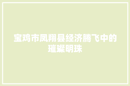 宝鸡市凤翔县经济腾飞中的璀璨明珠 宝鸡市凤翔县经济腾飞中的璀璨明珠