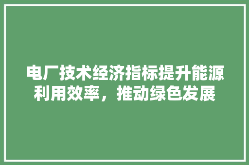 电厂技术经济指标提升能源利用效率,推动绿色发展 电厂技术经济指标提升能源利用效率,推动绿色发展