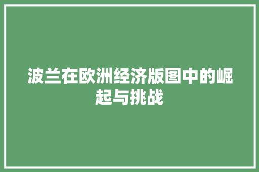 波兰在欧洲经济版图中的崛起与挑战 波兰在欧洲经济版图中的崛起与挑战