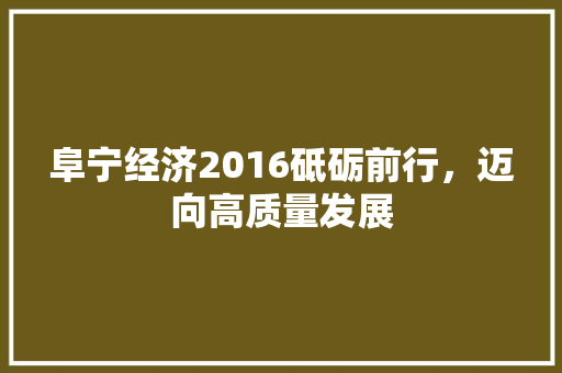 阜宁经济2016砥砺前行,迈向高质量发展 阜宁经济2016砥砺前行,迈向高质量发展
