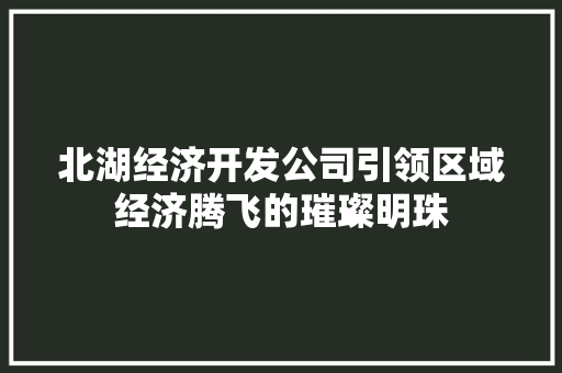北湖经济开发公司引领区域经济腾飞的璀璨明珠 北湖经济开发公司引领区域经济腾飞的璀璨明珠