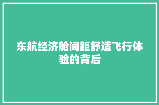 东航经济舱间距舒适飞行体验的背后 东航经济舱间距舒适飞行体验的背后