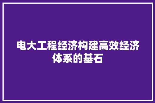 电大工程经济构建高效经济体系的基石 电大工程经济构建高效经济体系的基石