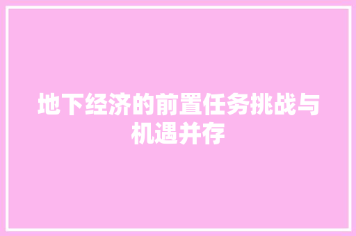 地下经济的前置任务挑战与机遇并存 地下经济的前置任务挑战与机遇并存