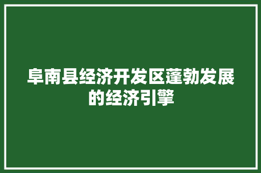 阜南县经济开发区蓬勃发展的经济引擎 阜南县经济开发区蓬勃发展的经济引擎