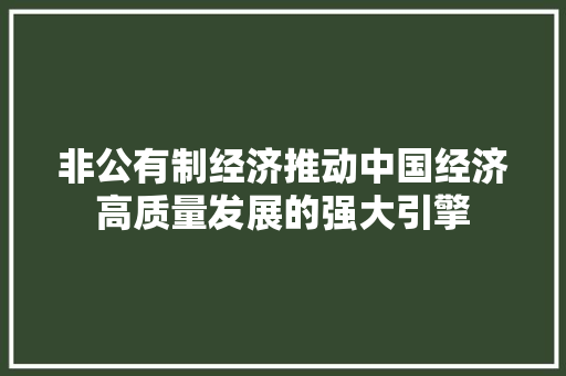 非公有制经济推动中国经济高质量发展的强大引擎 非公有制经济推动中国经济高质量发展的强大引擎