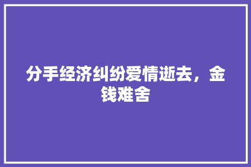 分手经济纠纷爱情逝去，金钱难舍