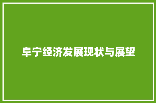 阜宁经济发展现状与展望 阜宁经济发展现状与展望