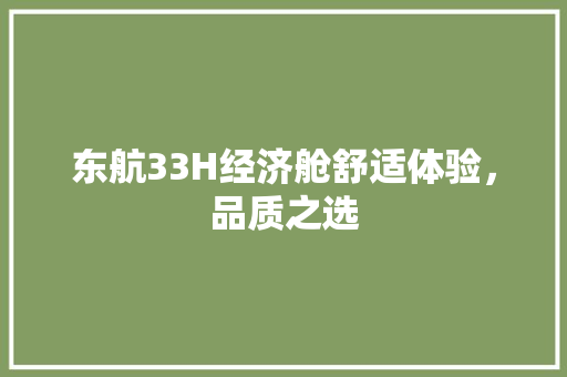 东航33H经济舱舒适体验,品质之选 东航33H经济舱舒适体验,品质之选