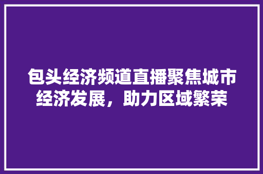 包头经济频道直播聚焦城市经济发展,助力区域繁荣 包头经济频道直播聚焦城市经济发展,助力区域繁荣