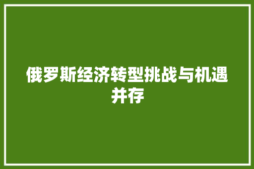 俄罗斯经济转型挑战与机遇并存 俄罗斯经济转型挑战与机遇并存