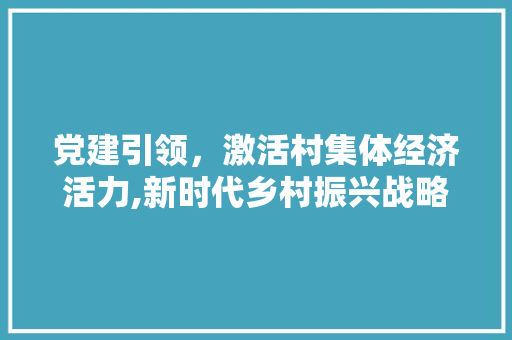 党建引领,激活村集体经济活力,新时代乡村振兴战略下的发展路径探析 党建引领,激活村集体经济活力,新时代乡村振兴战略下的发展路径探析