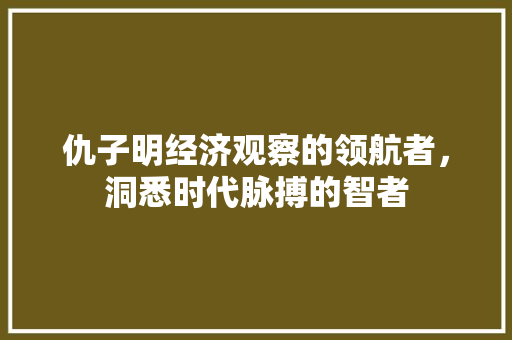 仇子明经济观察的领航者,洞悉时代脉搏的智者 仇子明经济观察的领航者,洞悉时代脉搏的智者